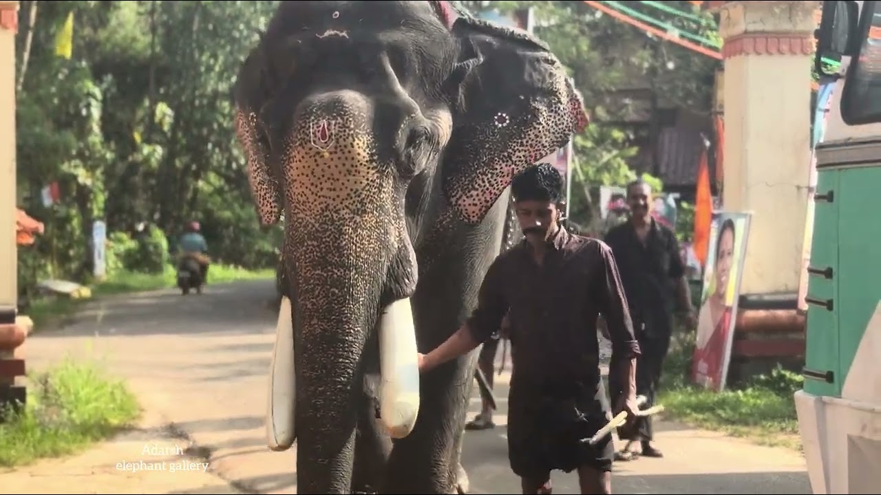 വേമ്പനാട് തറവാട്ടിൽ നിന്നും പടി ഇറങ്ങി മഹാദേവൻ ഇനി പുതിയ പേരിൽ (vembanad mahadevan)