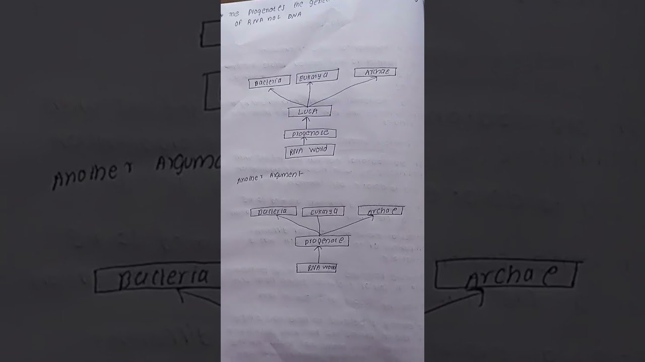 Progenote The hypothetical stage of evolution