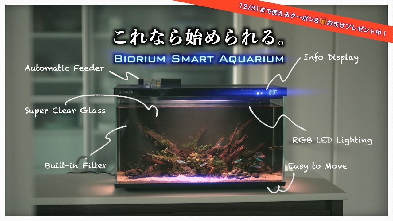 【お得情報あり】あのBiorium水槽を徹底レビュー！オールインワンの凄いやつだが100％アレに振り切った水槽だった。
