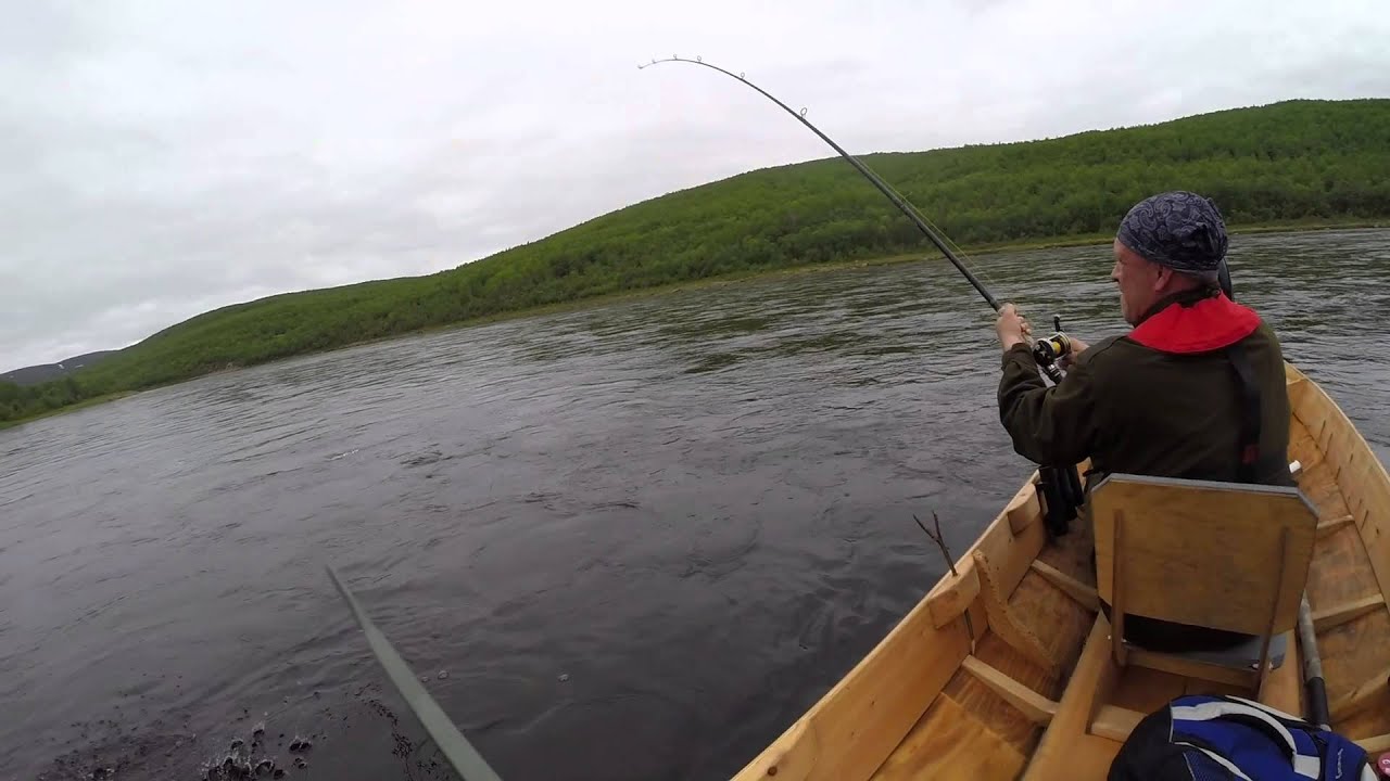 Teno 2015 9,6 kg lohi kortsamista