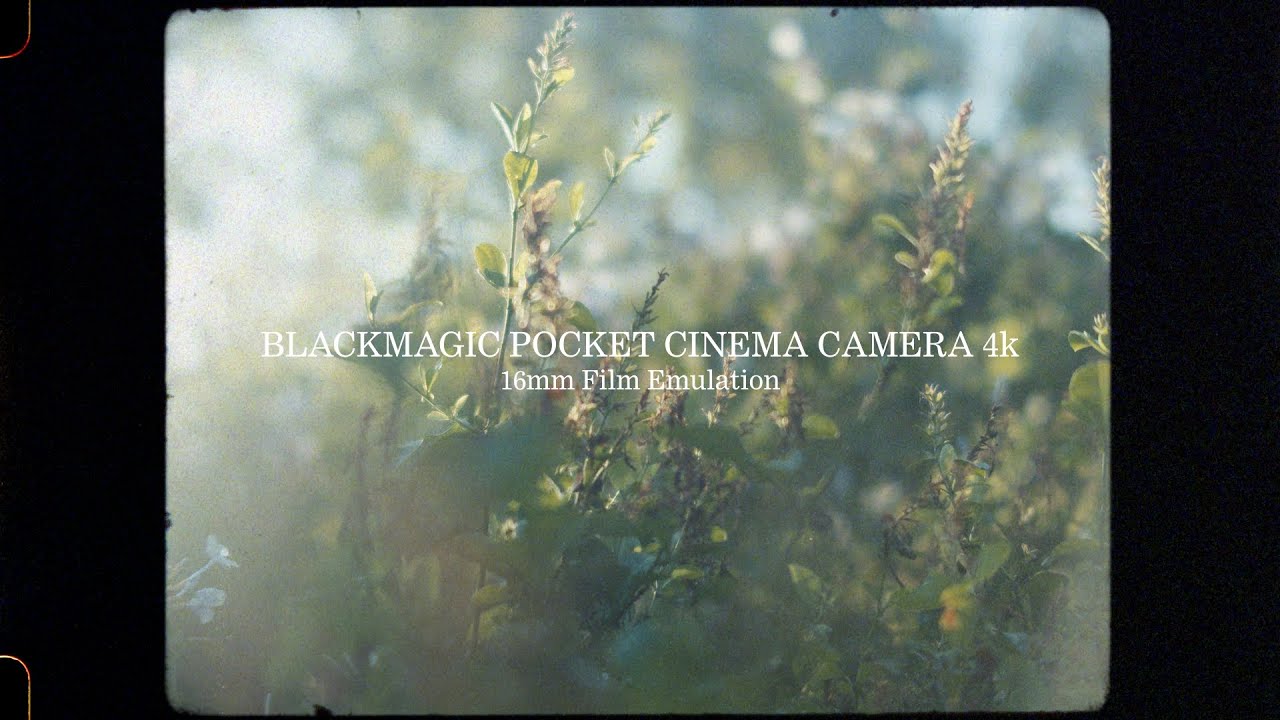 Blackmagic Pocket Cinema Camera 4K (16mm Film Emulation) + Kern Switar 26mm F1.1