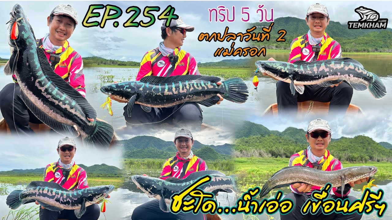 ทริป 5 วัน น้ำเอ่อ(เขื่อนศรีฯ) ตกปลาวันที่ 2 ปลาครอก EP.254