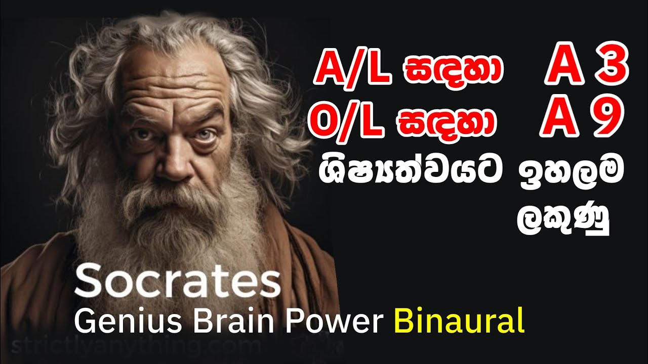 සුපිරි බුද්ධිය 🍎මතකය සහ පාඩම් අවධානය වැඩි කර ඉහලම ලකුණු Super conscious connection Genius Brain Beat
