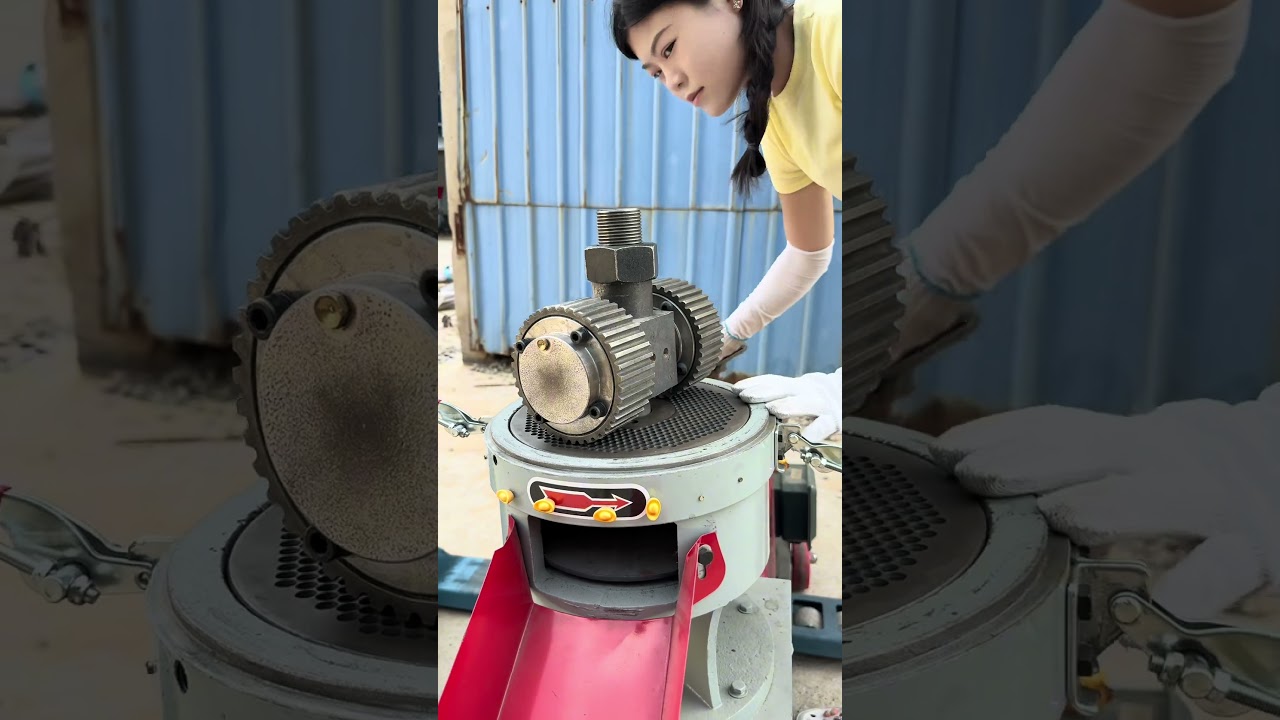260 Feed Pellet Machine Demo: Turn Corn into 1 t/h High-Density Pellets #FeedPelletMachine