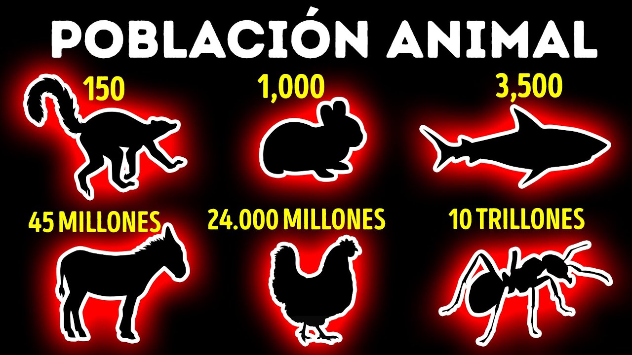 Comparación de las poblaciones animales más pequeñas y más grandes