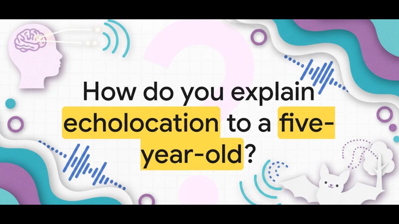 How do you explain echolocation to a five-year old ?
