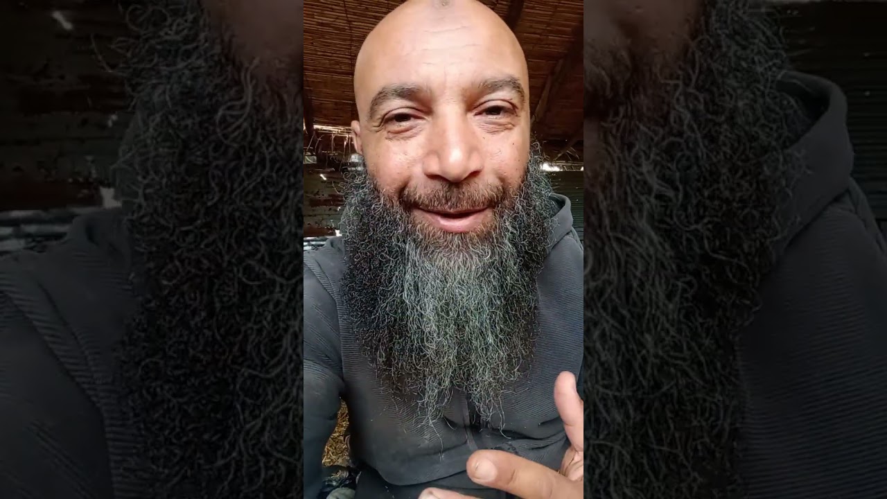 العوامل التي تساهم في نقص إنتاج البيض هي... 