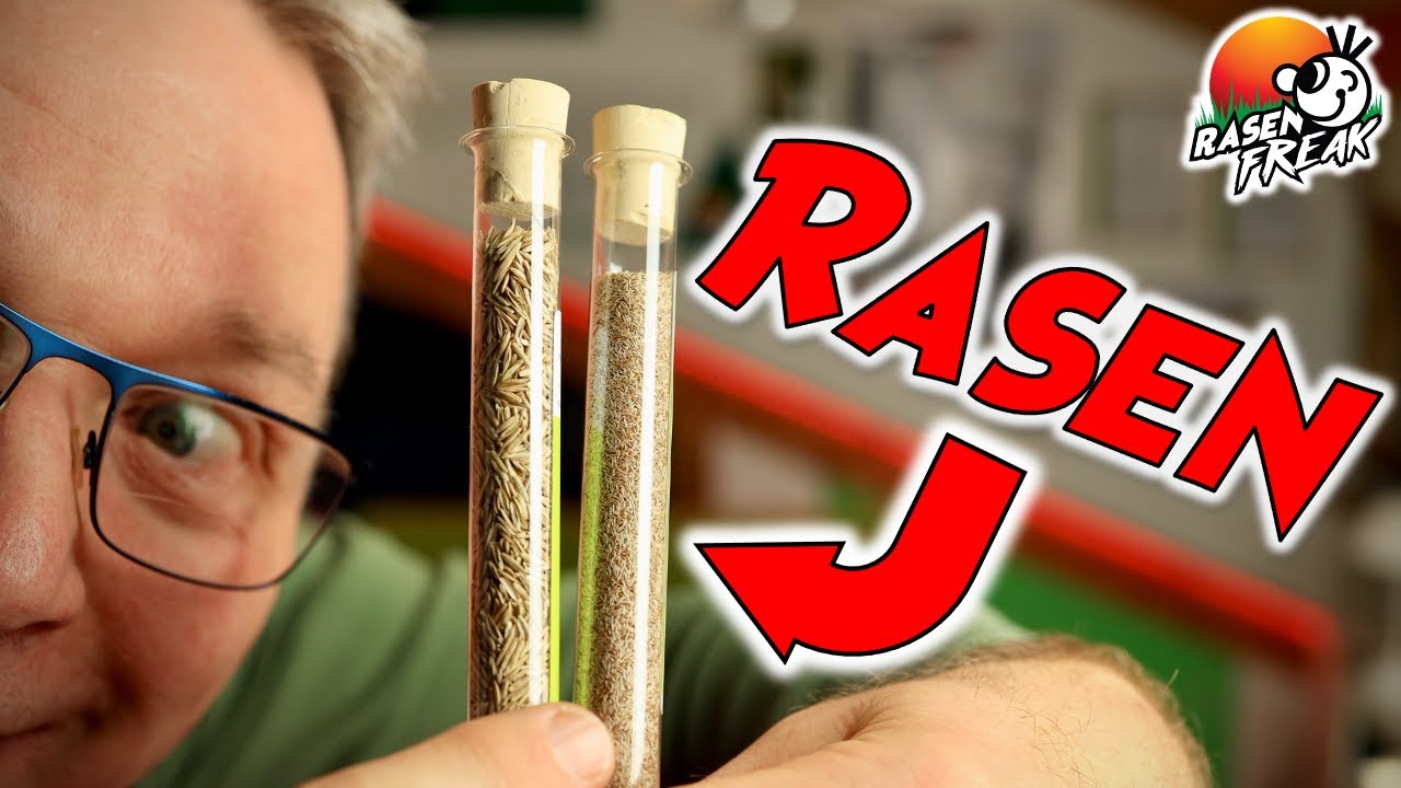 Rasen s&auml;en, Rasen nachs&auml;en, Neusaat - Tipps und Tricks vom RASENFREAK