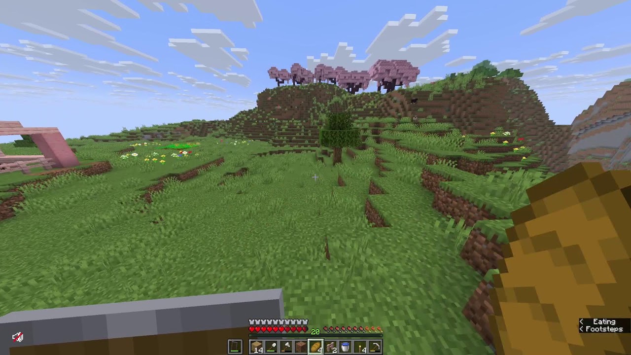 minecraft smp with cookman