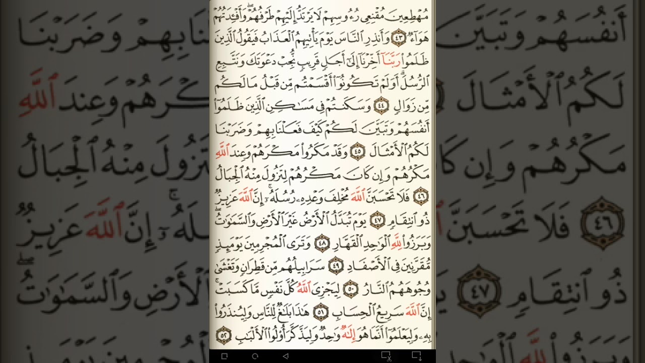 ماهر المعيقلي سورة إبراهيم مكتوبة صفحة 261 مصحف المدينة المنورة جودة عالية