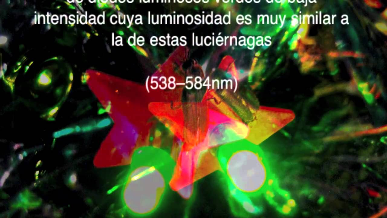 D Luciferin / The Fireflies Factory