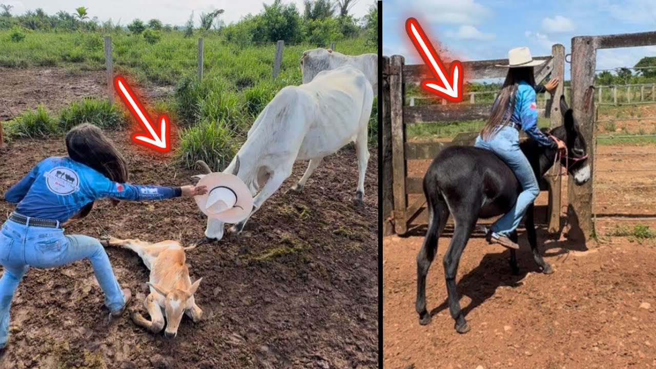 MONTEI NA JUMENTA E ENFRENTEI AS PRIMEIRAS VACAS BRAVAS DO ANO 😱