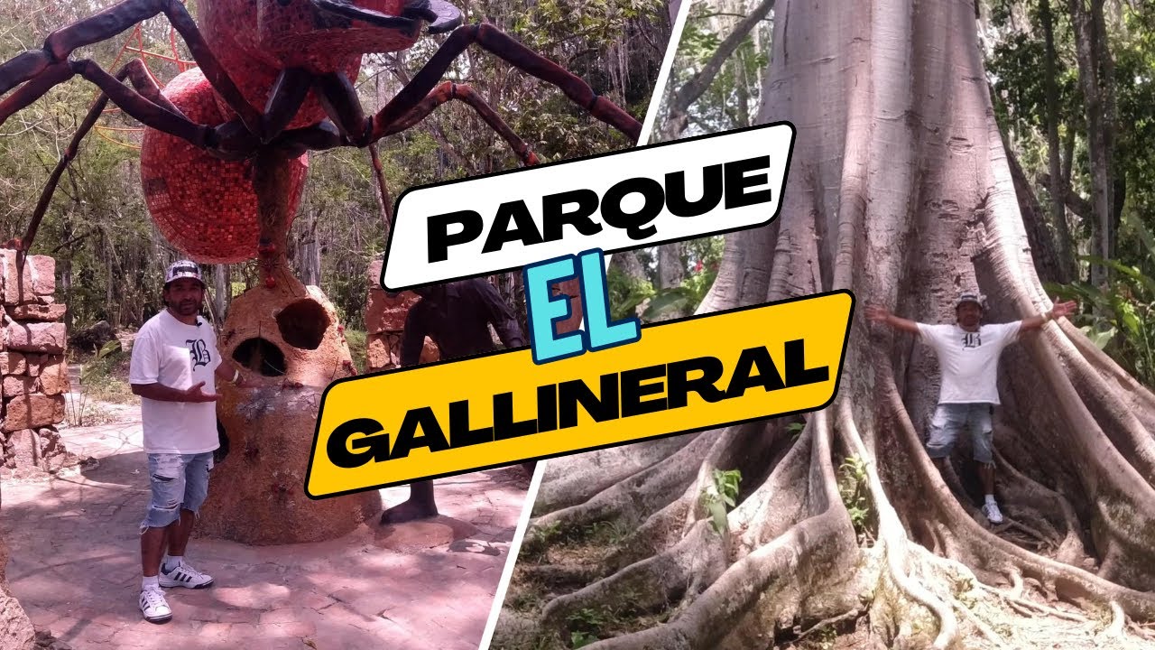 🛑¿un PARAISO EN SAN GIL? 🦎PARQUE natural el GALLINERAL🐸por que nadie hable de ESTO el GALLINERAL?