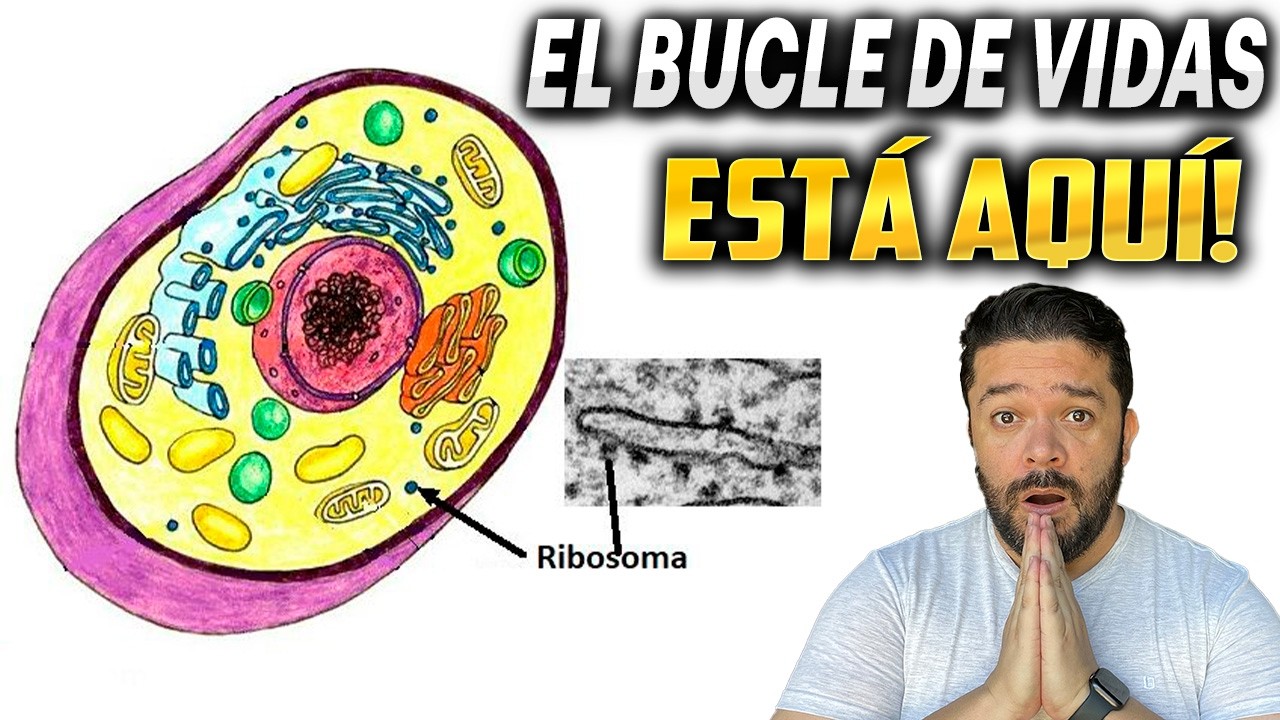 🚨 Descubrimiento ASOMBROSO: Encontr&oacute; la PUERTA que nos Encierra en el Tiempo/Espacio
