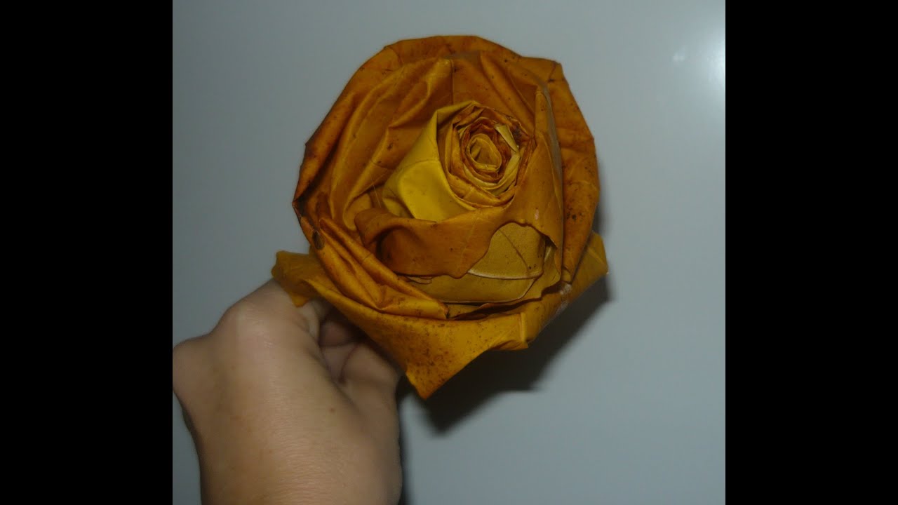 Роза из кленовых листьев Осенние поделки с детьми для сада Rose of maple leaves