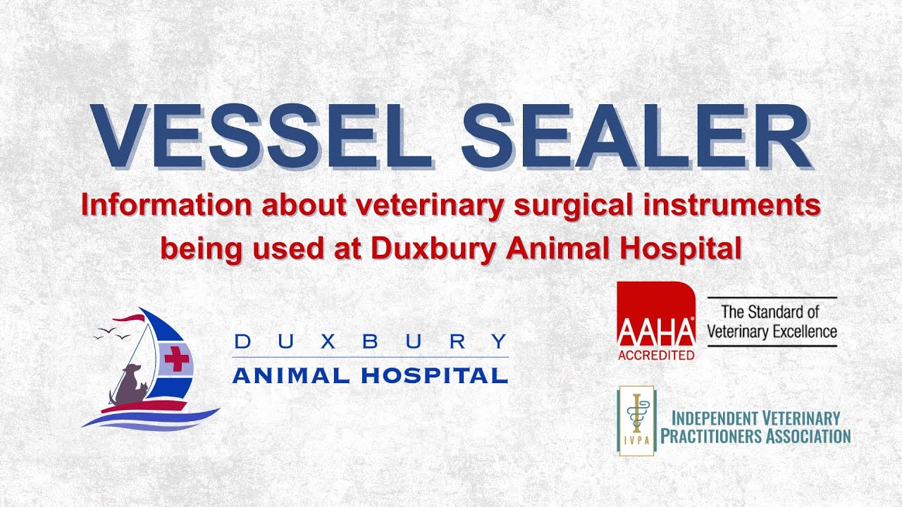 Vessel Sealer - Veterinary Surgical Instruments