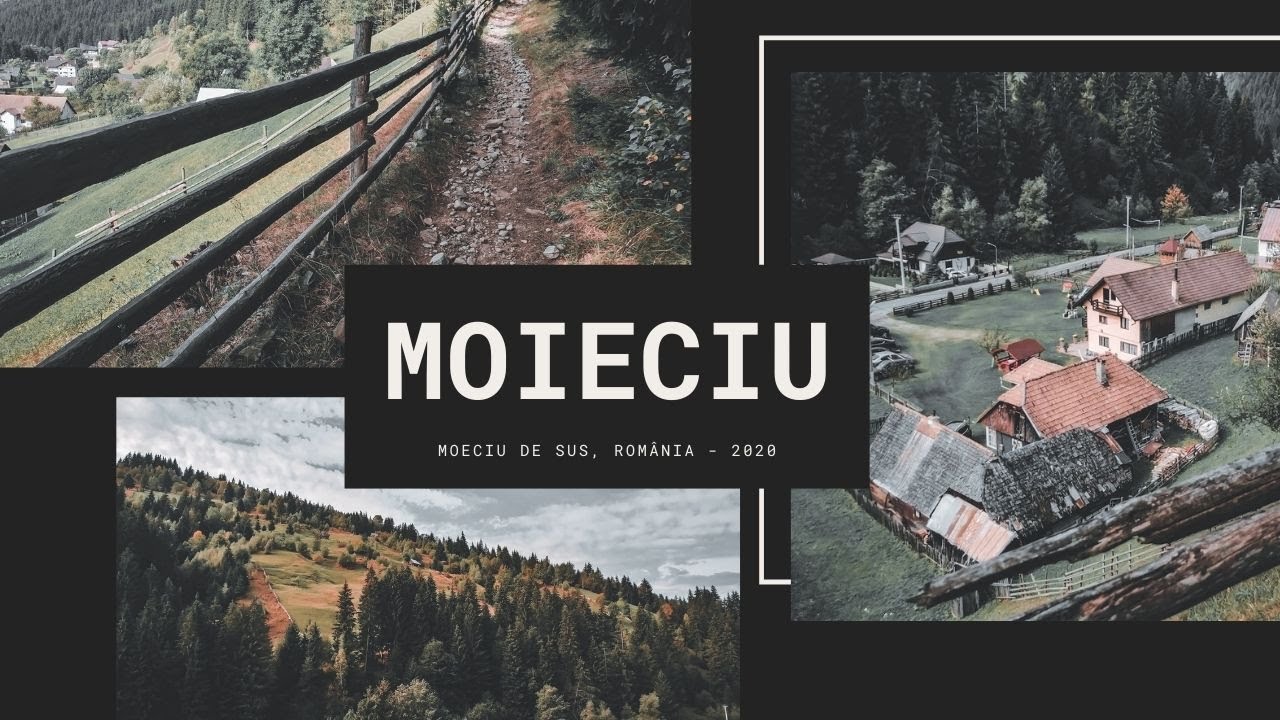 MOIECIU | Moeciu  | Moeciu de sus | Moieciu de sus | Moeciu de sus, Brasov, Rom&acirc;nia 2020 🌲