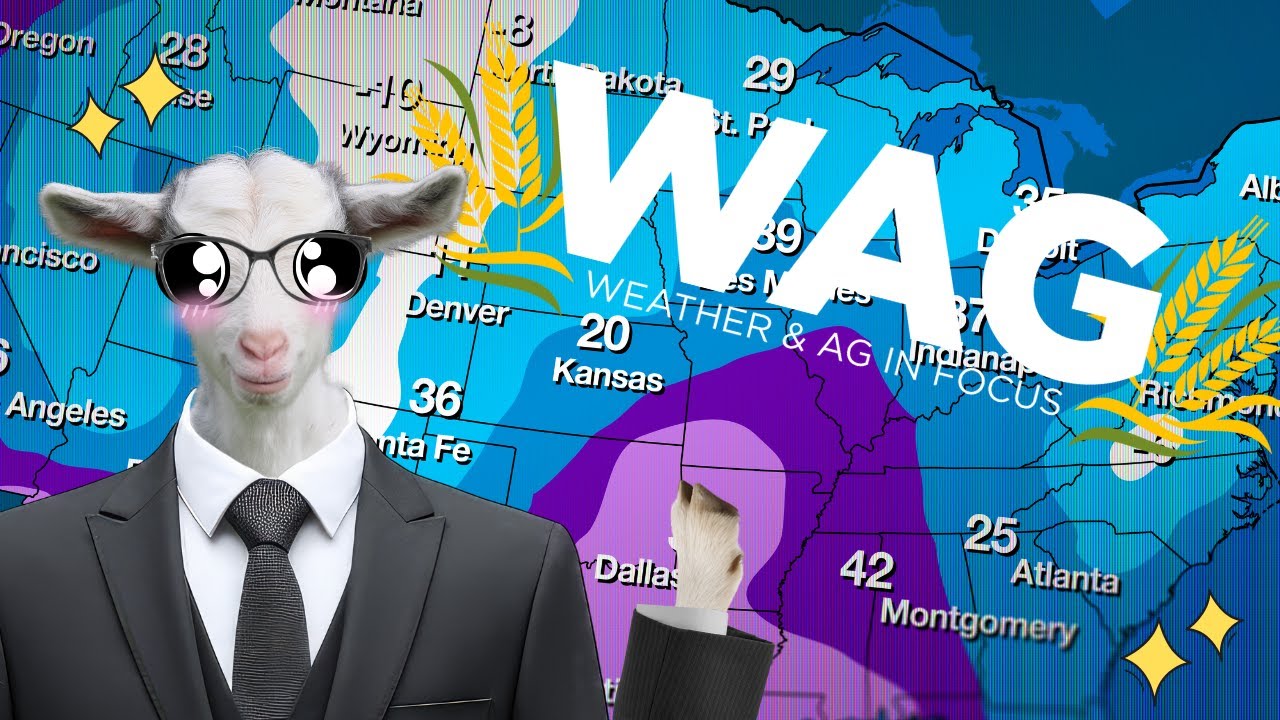 Wednesday Weather Trivia