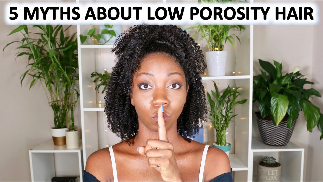 Low Porosity Lies That Are Causing You Problems! | 5 Myths About Low Porosity Hair