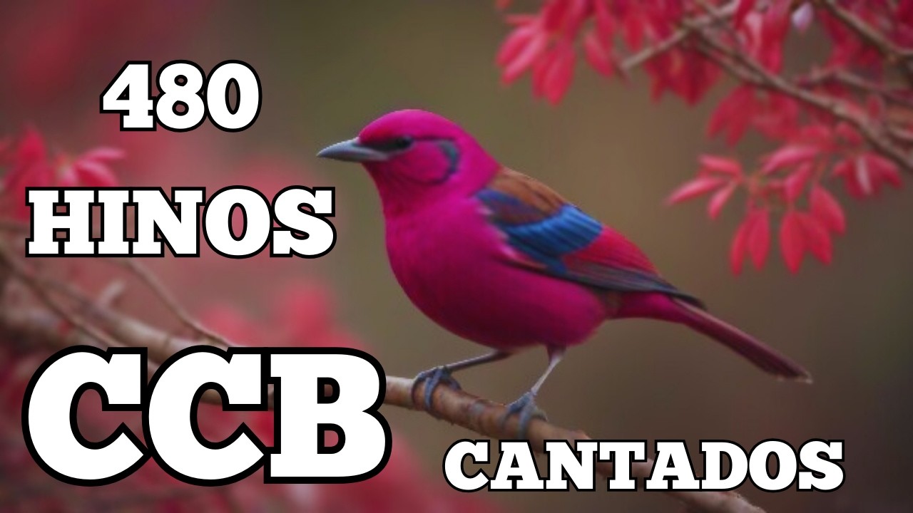 480 HINOS CCB CANTADOS- 12/02/2026- 1,2,3,4,5,6,7,8,9,10,11,12,13,14,15,16,17,18,19,20,21,22,23,24..