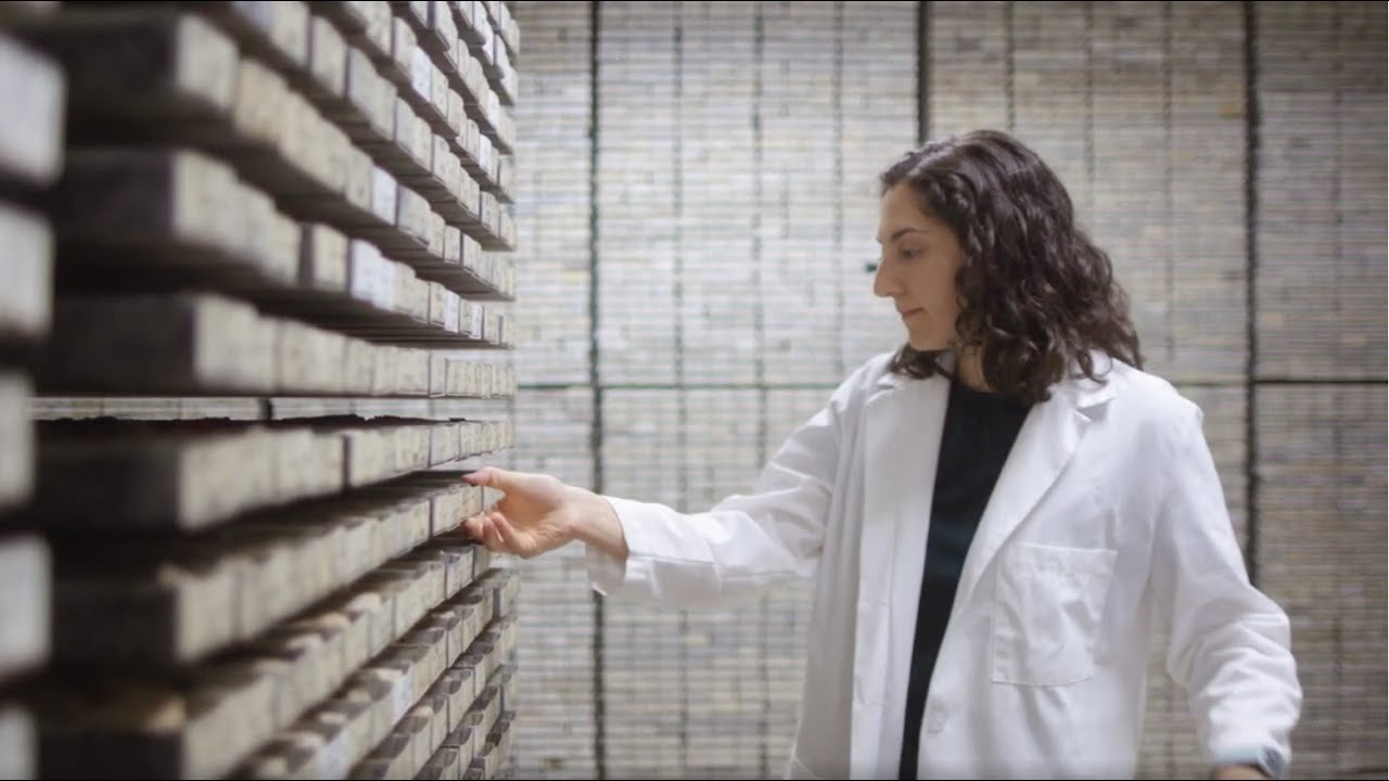 Finding Evidence of Climate Change on the Ocean Floor: Samantha Bova