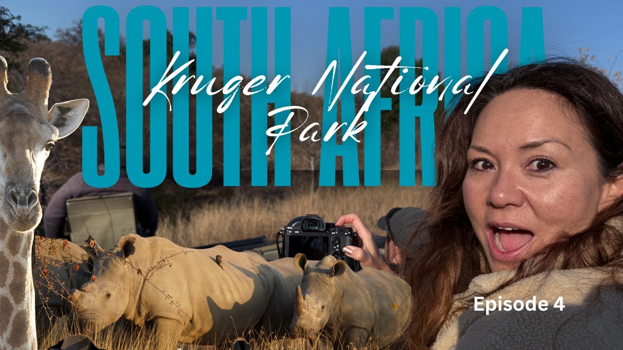 🐾 In Awe of Africa | Wild Dogs, Rhinos & Leopards in Kruger National Park Pt. 2