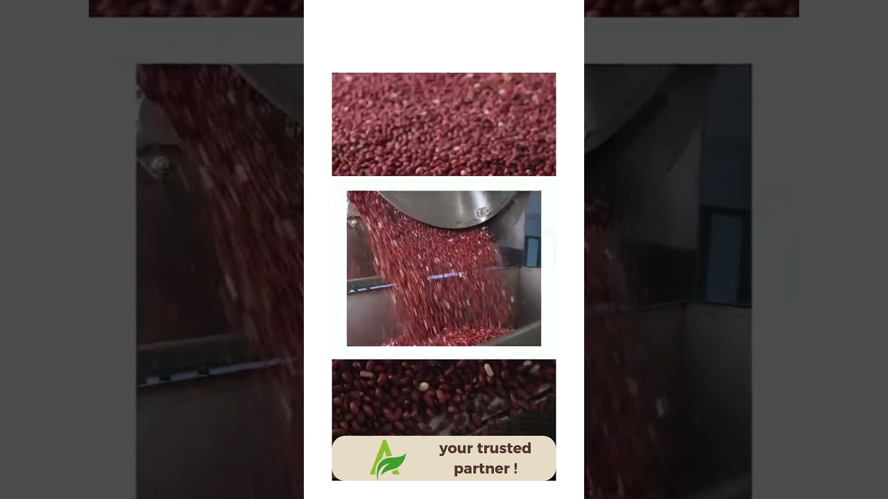 Premium Peanut Butter Manufacturing Process / High-Quality Production Unit Tour