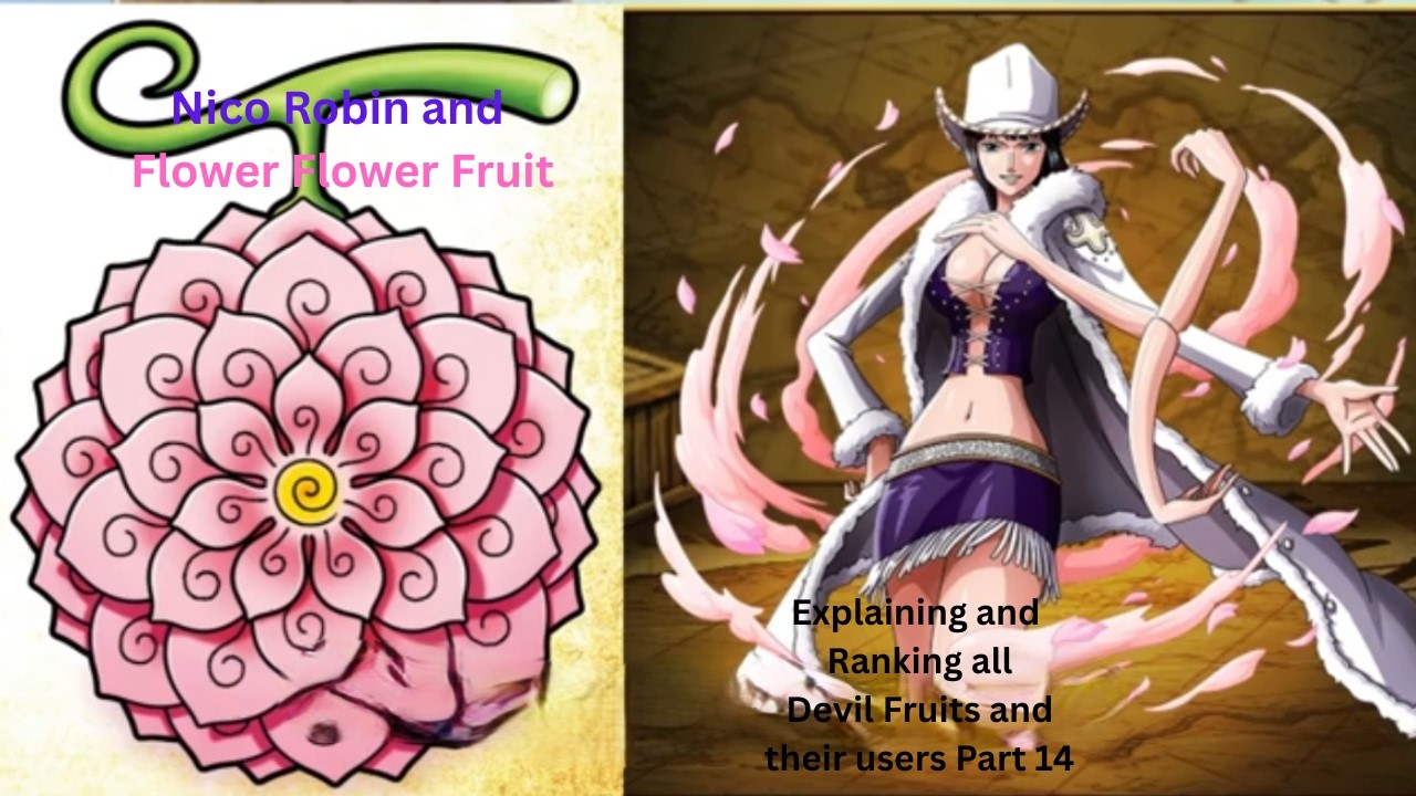 Нико Робин и Цветок Цветок Фрукт