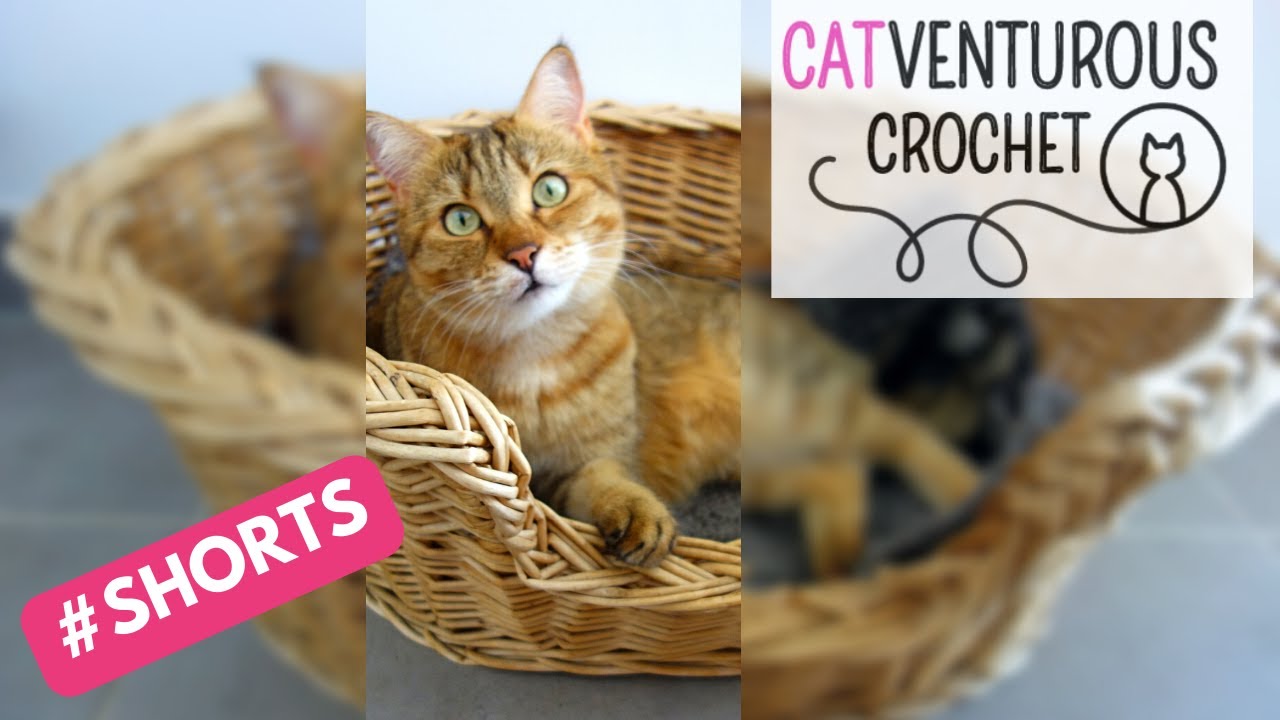 Shorts: Textured Patchwork Cat Mat (featuring 12 HDC variations!) - Catventurous Crochet