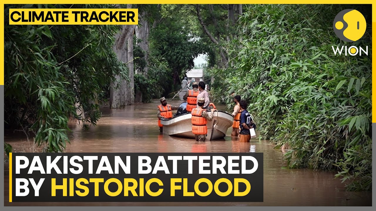 Pakistan Floods: Thousands Of Villages And Farms Washed Away | Devastation Threatens Economy | WION