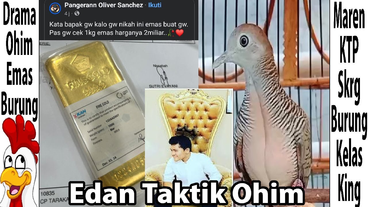 Drama Emas Ohim Dan Burung Perkutut