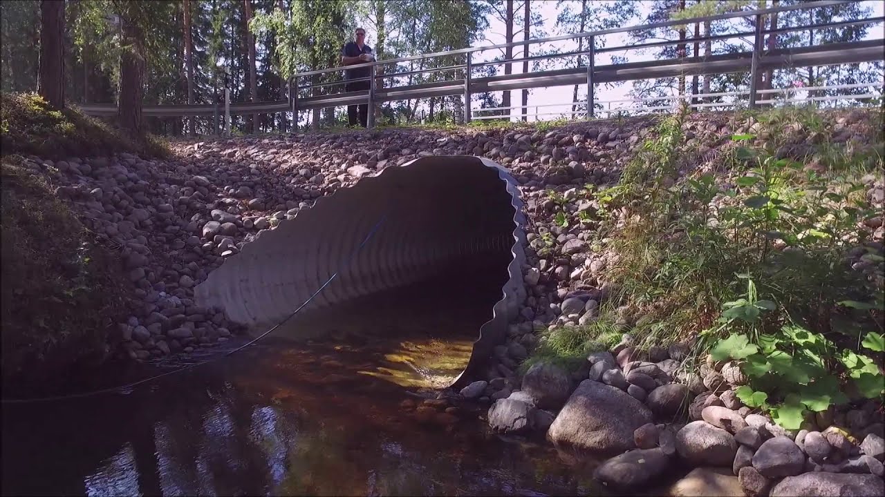 Syvänsiltä Suihkolanjoelle 1
