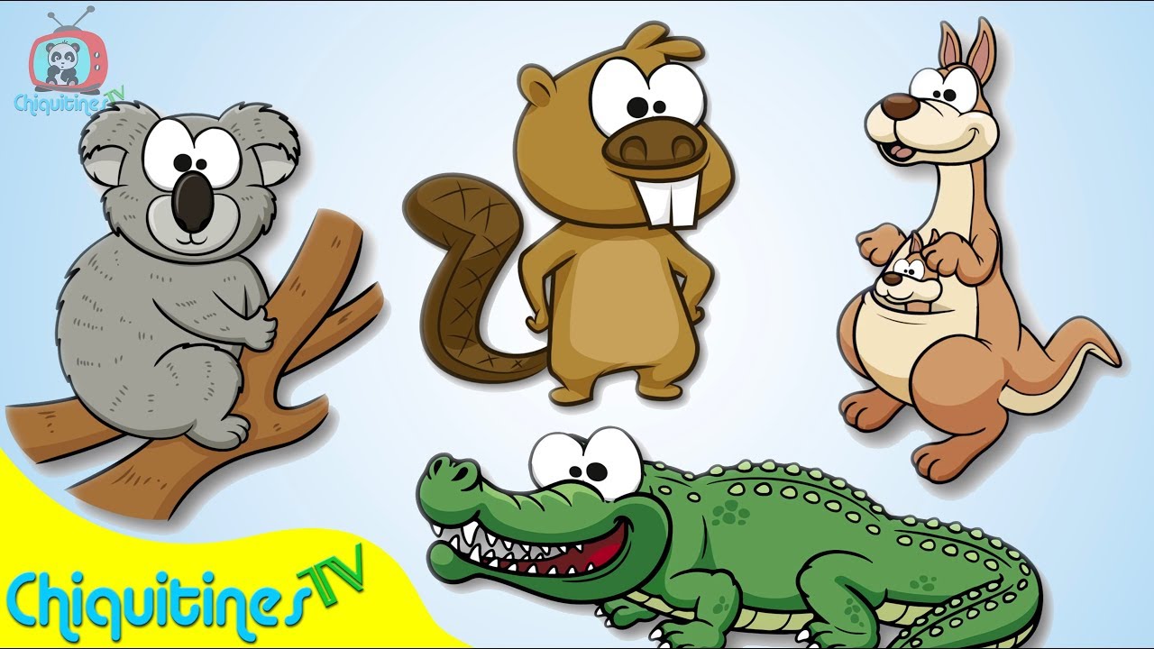 El Sonido de los Animales 4 - Canción Infantil - animales salvajes