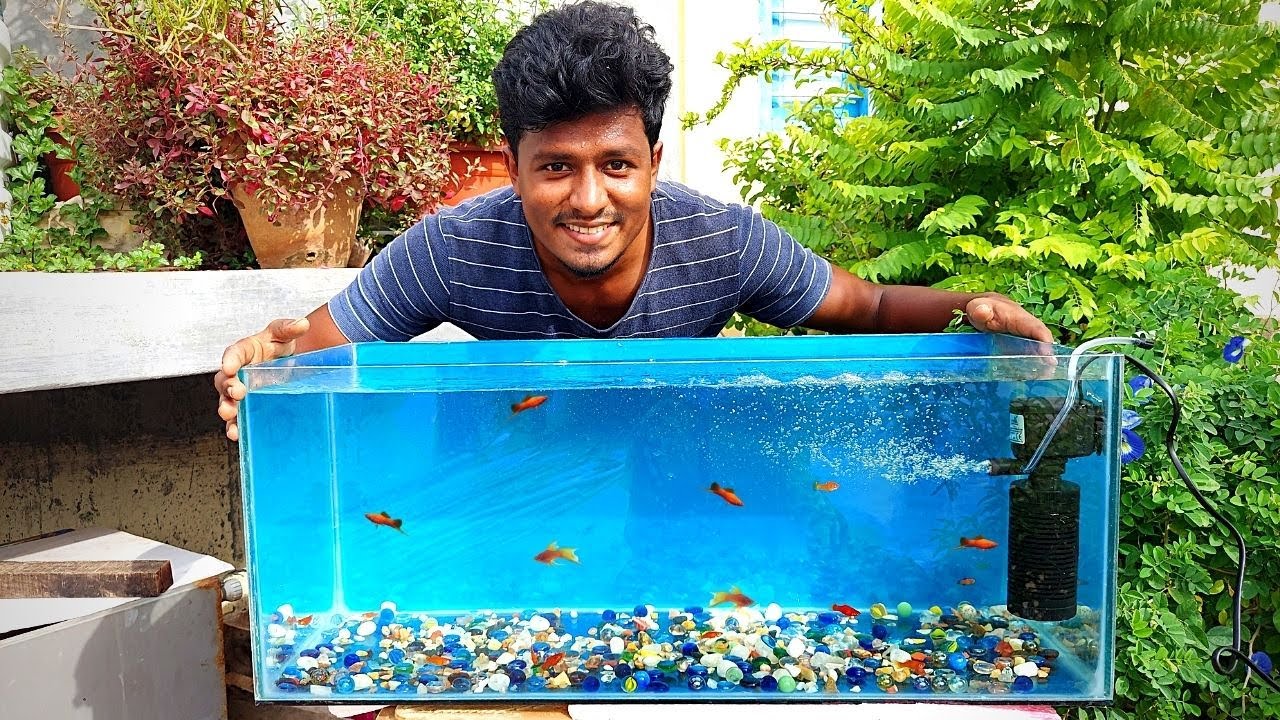 My New Fish Tank Setup 🐠🐡| மீன் தொட்டி இப்போ எப்படி இருக்கு! | Vijay Vlogs