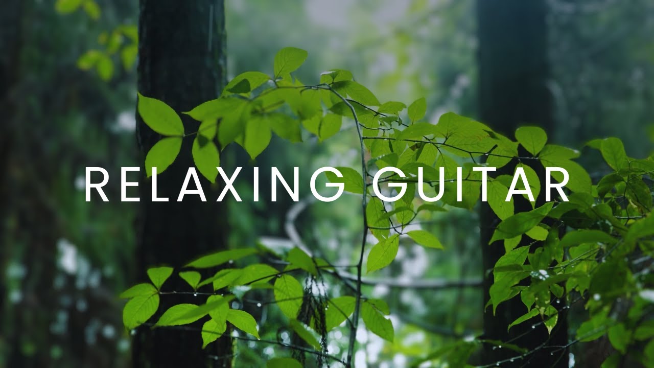 Soft Guitar Music and Rain to Work and Focus (1 Hour)