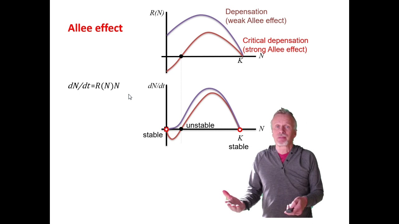 4.5 The Allee effect