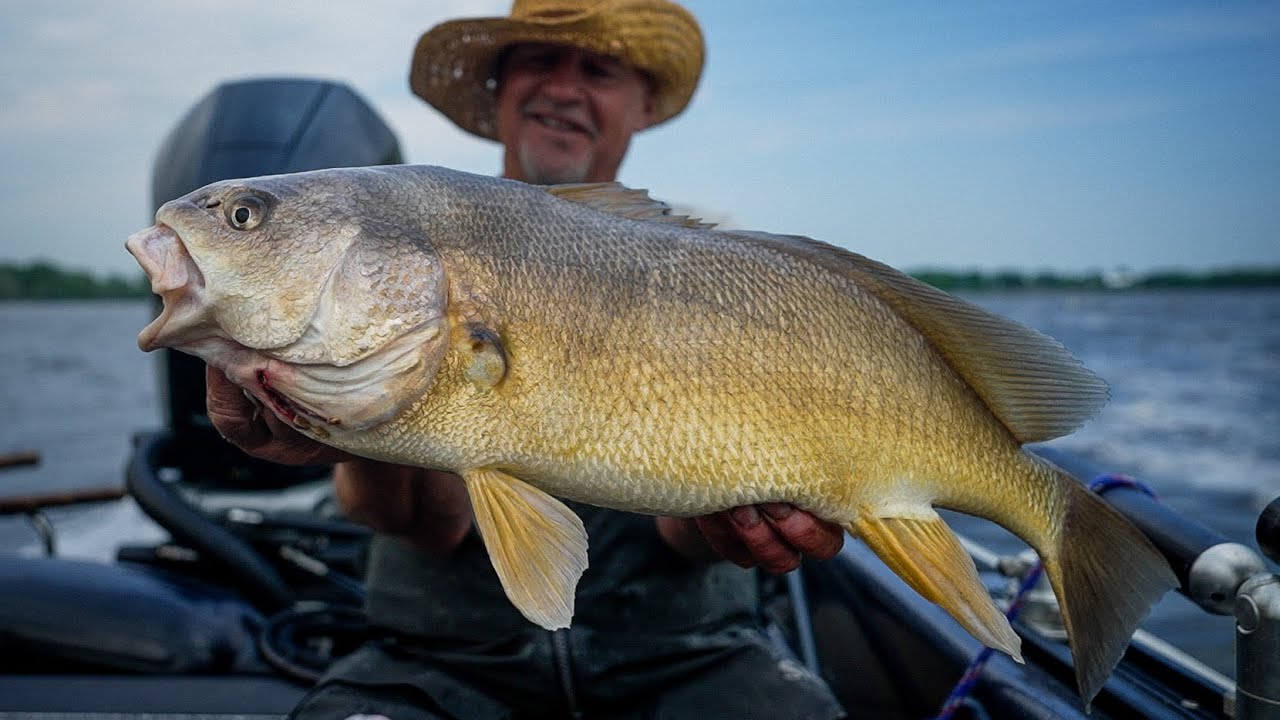 Fighting MONSTER Sheepshead on Old School Cane Poles!