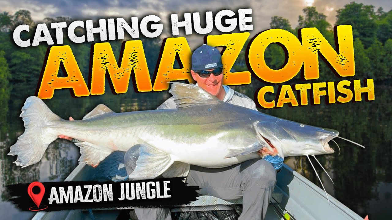 Amazon River Monsters - Huge Piraiba Catfish Fishing In Brazil | CrazyGoodFishing.com