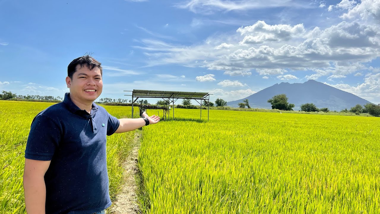 Ano ang best for you: Surface or submersible solar pump? + Engr. na. Pilot pa, Nasa Agribusiness pa!