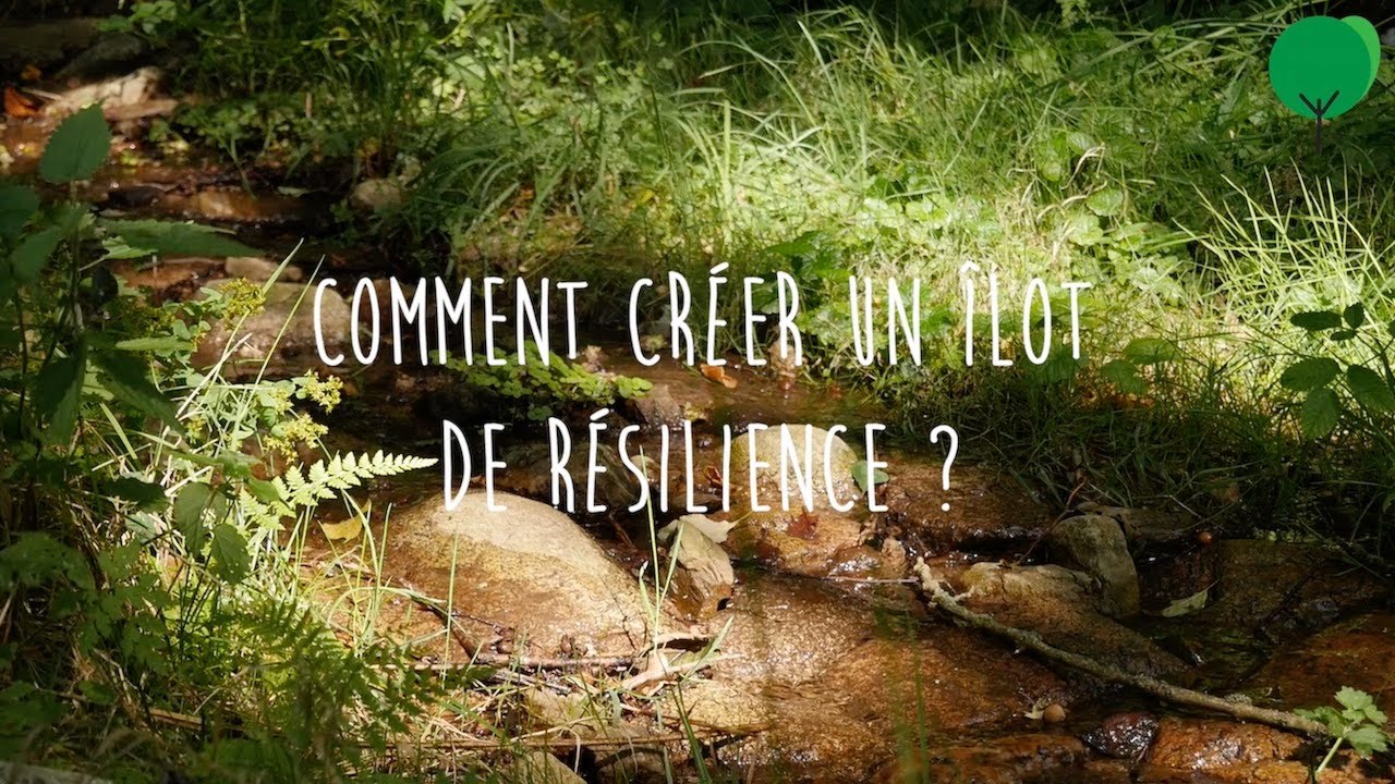 Episode 10 - La micro-ferme en permaculture des Escuroux