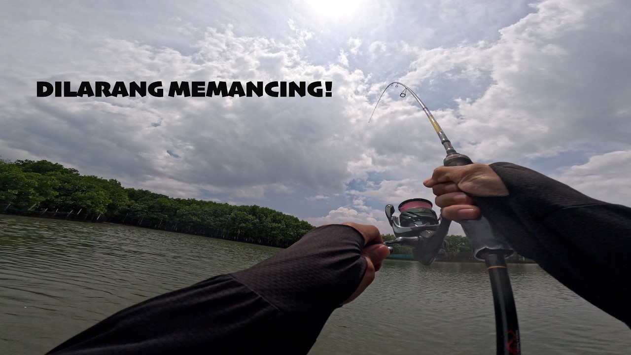 MANCING DI TEMPAT TERLARANG DAN BANYAK IKAN BARAMUNDINYA