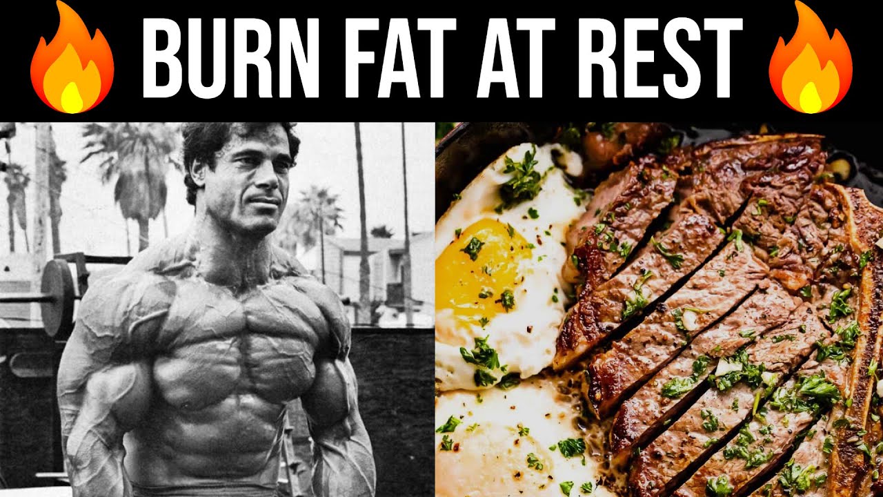 How To Turn Your Body into a Fat Burning Machine (Lose Fat While Doing Nothing)