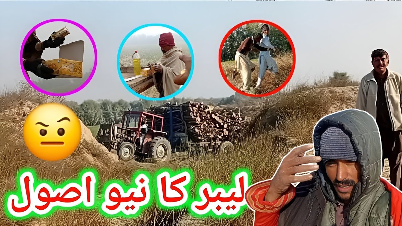 Labour ka new asuol😇