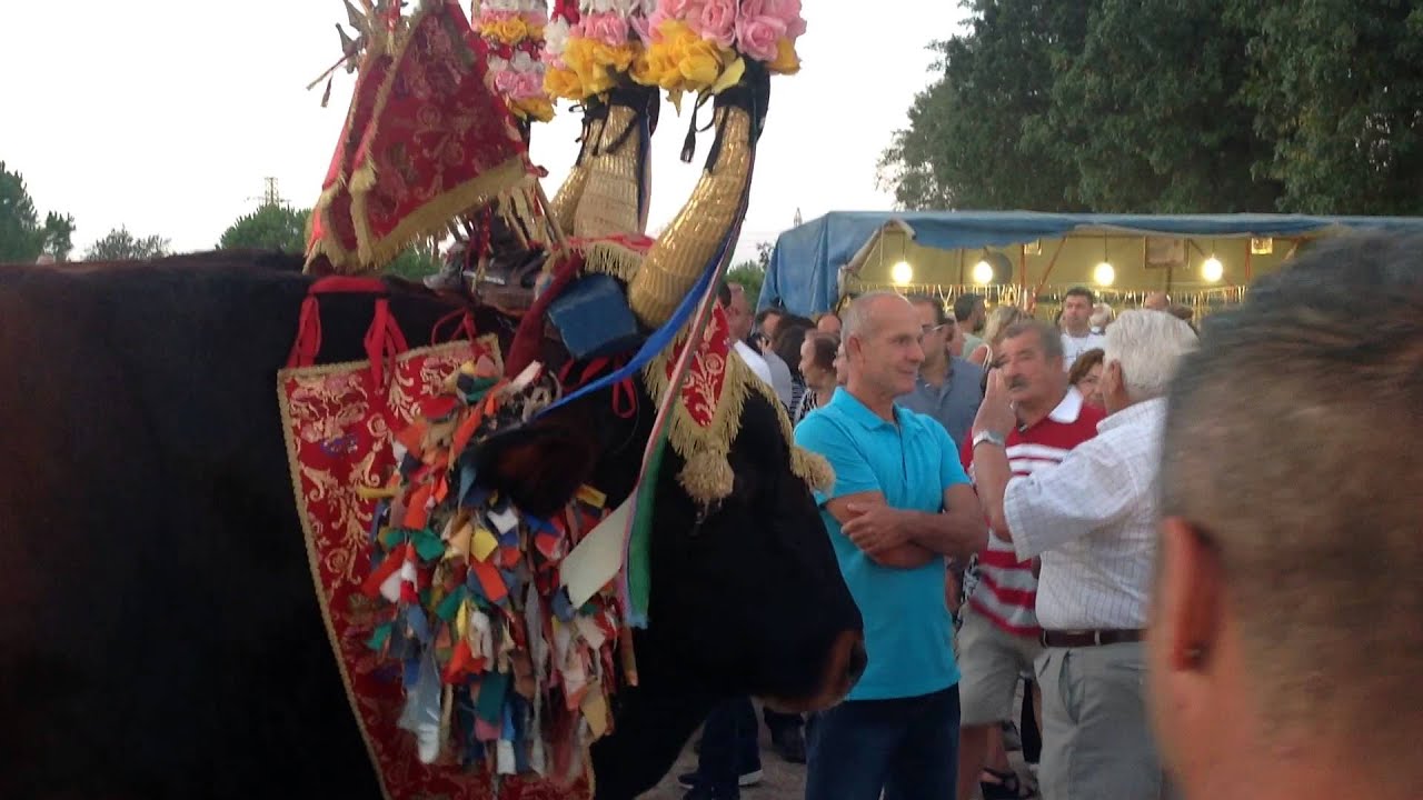Uta Cagliari 2014