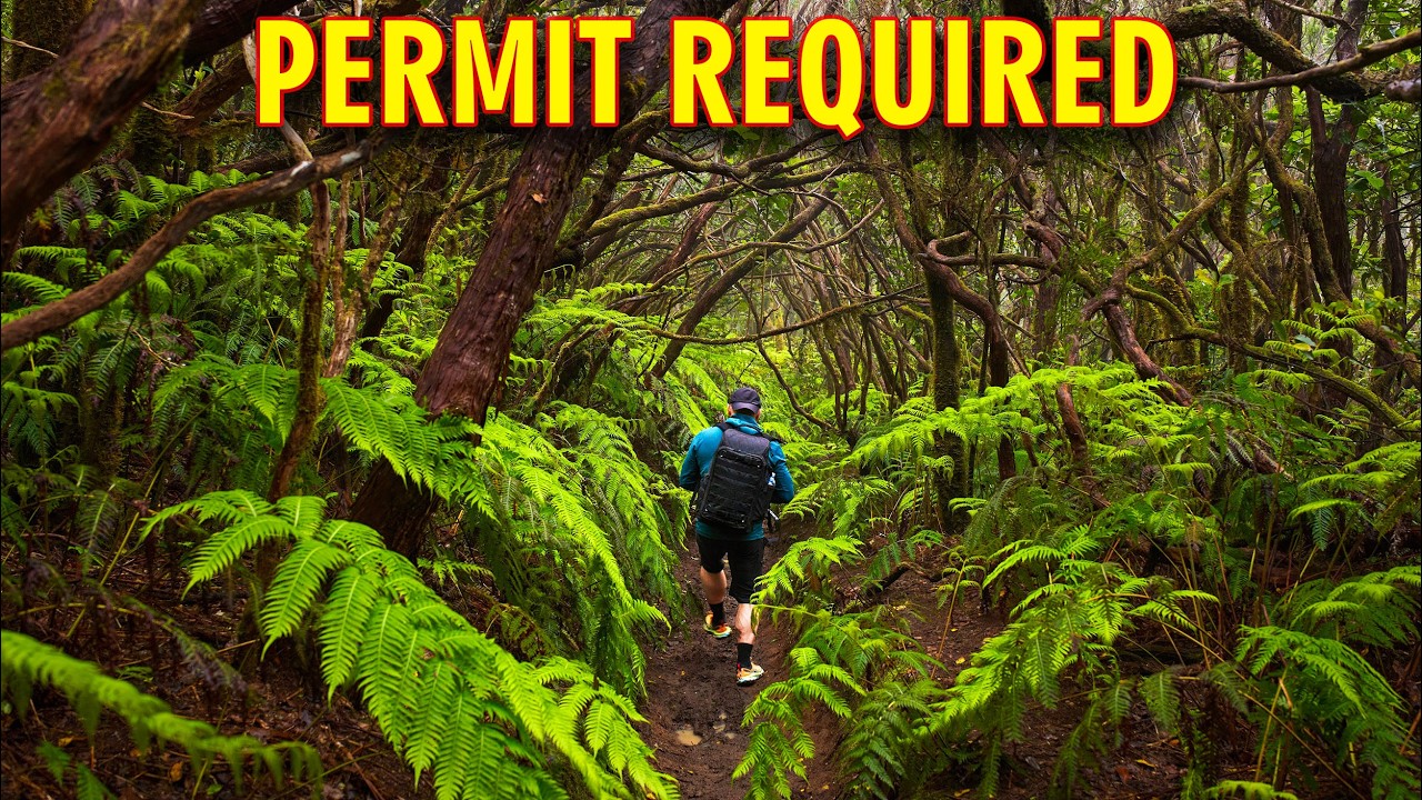 The Permit-Only Trail Most Tenerife Tourists Never Find