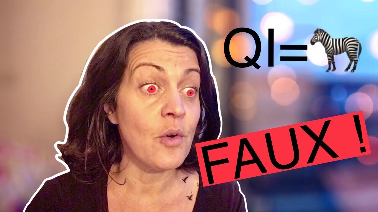 Le QI ne fait pas le zèbre !