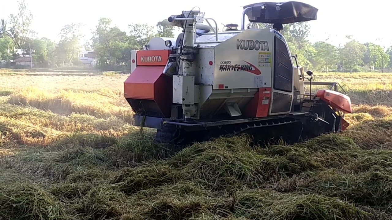 Kubota new model hervestor !! hervesting in field