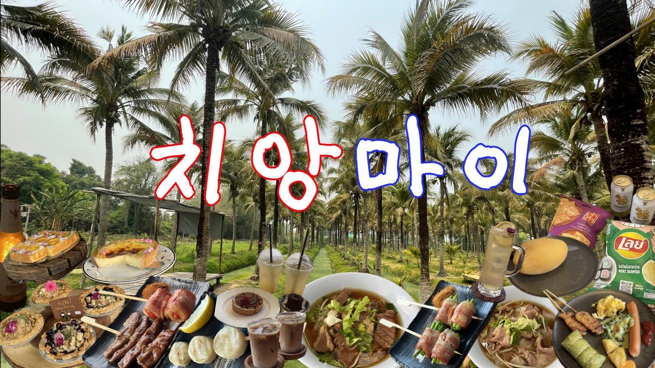 ✈️🇹🇭인생여행지를 만났다ㅣ치앙마이여행3박5일 구글지도.주소 다 알려드림ㅣ치앙마이맛집,카페,볼거리ㅣ치앙마이수영장숙소추천ㅣpor타패게이트,블루누들,노스게이트재즈펍ㅣ치앙마이브이로그
