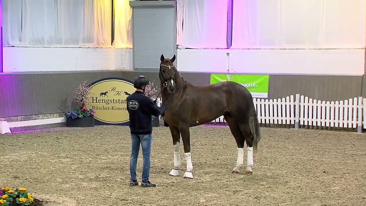 HS 2023 Don Olympic