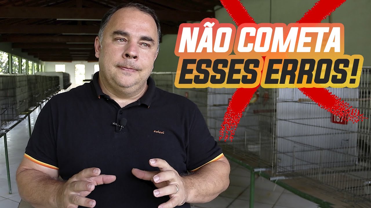 ALIMENTAÇÃO DAS AVES: 5 ERROS COMUNS
